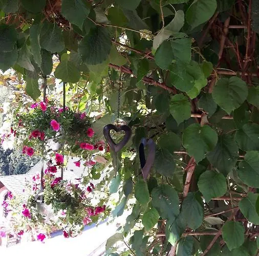 Haus Evelin سانكت ليونارد إم بيتزتال